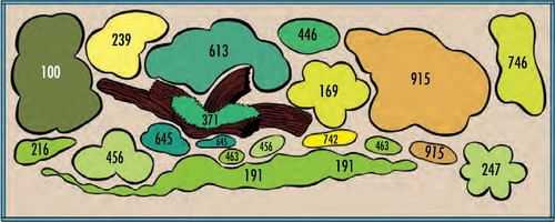 Rotmäulchen-Bucht - Pflanzenlandschaft Für Ein 160-200 Liter Aquarium 2 Rotmäulchen-Bucht - Pflanzenlandschaft Für Ein 160-200 Liter Aquarium – Bild 2