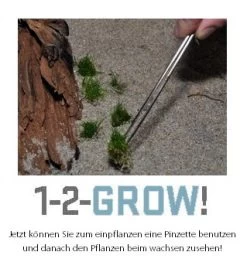 1-2-GROW! *NEU* Mini-Kleeblatt / Marsilea Minuta Von TROPICA *NEU* 7 1-2-GROW! *NEU* Mini-Kleeblatt / Marsilea Minuta Von TROPICA *NEU* -Qualitätsgeschäft Für Garten Und Outdoor T010BTC T 1 4