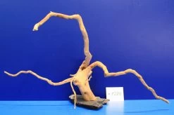 XXL Rote Moorwurzel / Moorkienholz 48x25x23 Traumwurzel #1280 Auf Schiefer