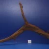 6XL Mangroven-Wurzel 133x64x29 Unikat - Traumwurzel #1439
