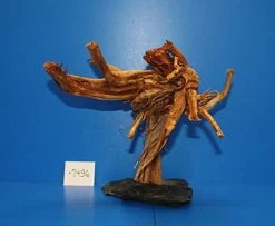 XL Rote Moorwurzel / Moorkienholz 30x25x25 Traumwurzel #1496 Auf Schiefer