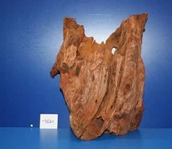 XL Mangroven-Wurzel 30x35x17 Unikat - Traumwurzel #1521