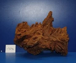 XL Mangroven-Wurzel 30x24x22 Unikat - Traumwurzel #1540