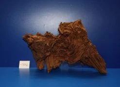 XL Mangroven-Wurzel 38x26x27 Unikat - Traumwurzel #1542