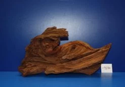 XL Mangroven-Wurzel 40x23x17 Unikat - Traumwurzel #1550