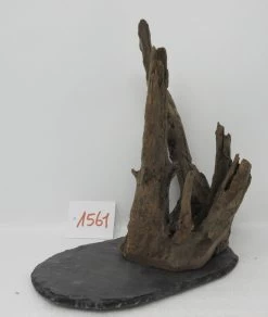 XL Scaper Wurzel 19x24x19 Traumwurzel #1561 Auf Schiefer