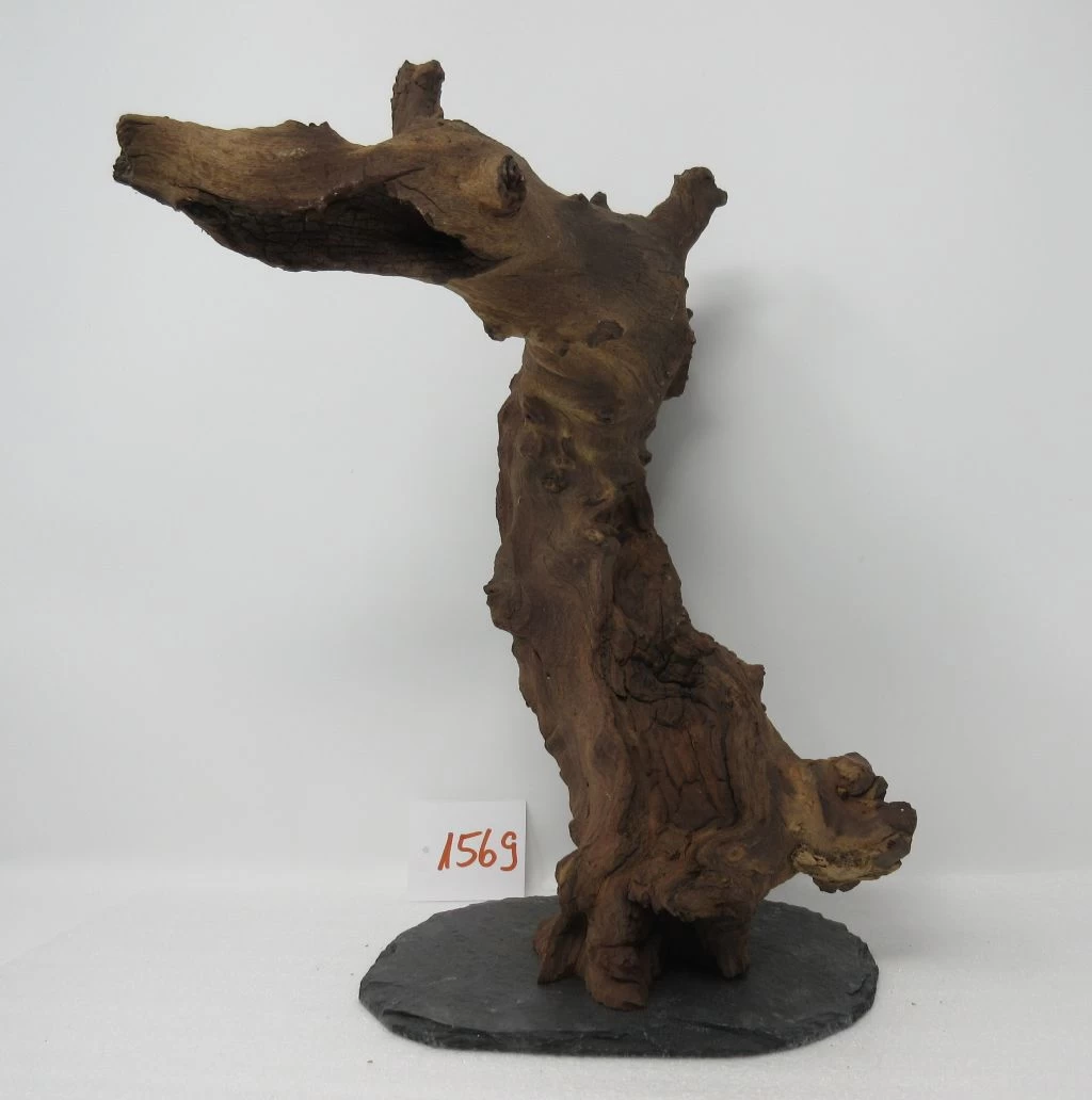 XXL Eisenholz/Mopani-Wurzel 22x33x22,5 Zweifarbige Traumwurzel #1569 Auf Schiefer 1 XXL Eisenholz/Mopani-Wurzel 22x33x22,5 Zweifarbige Traumwurzel #1569 Auf Schiefer