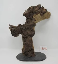 XXL Eisenholz/Mopani-Wurzel 29x32x20 Zweifarbige Traumwurzel #1573 Auf Schiefer