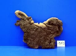 Zweifarbige Traumwurzel #959 Eisenholz/Mopani-Wurzel 34x26x13