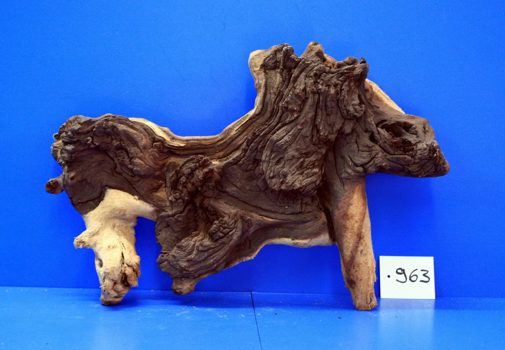 Zweifarbige Traumwurzel #963 Eisenholz/Mopani-Wurzel 39x26x11 1 Zweifarbige Traumwurzel #963 Eisenholz/Mopani-Wurzel 39x26x11