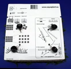 Green-Wall XL Javafarn / Microsorum Pteropus Auf Matte Ca. 170x140 Mm 7 Green-Wall XL Javafarn / Microsorum Pteropus Auf Matte Ca. 170x140 Mm -Qualitätsgeschäft Für Garten Und Outdoor oM43A SG 1 3