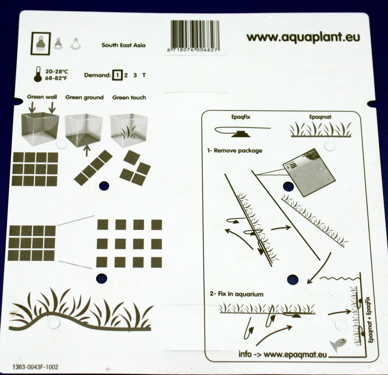 Green-Wall XL Javafarn / Microsorum Pteropus Auf Matte Ca. 170x140 Mm 5 Green-Wall XL Javafarn / Microsorum Pteropus Auf Matte Ca. 170x140 Mm – Bild 5