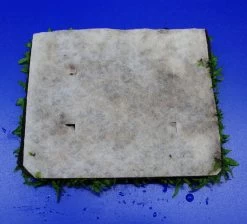 Green-Wall XL Gekräuseltes Javafarn / Microsorum Pt. Windelov Auf Matte Ca. 170x140 Mm -Qualitätsgeschäft Für Garten Und Outdoor oM43W SG 1 8